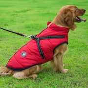 ZB Winter Woof Vest